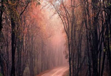 问鼎娱乐：[欧冠]马竞角球开出 萨乌尔混战中捅射打破僵局.