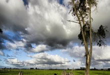 炮兵锋线伤兵多 客场“猎狐”待时机.